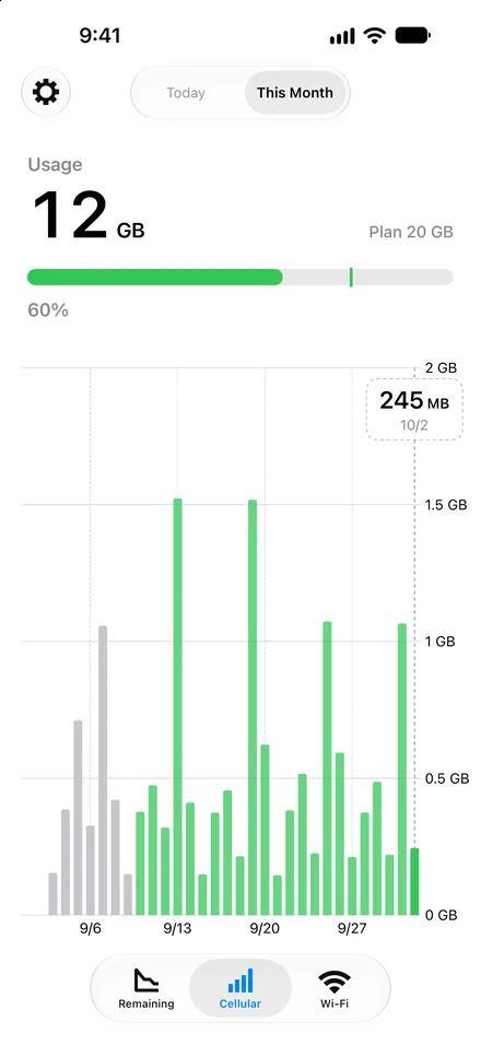 This month's cellular usage graph