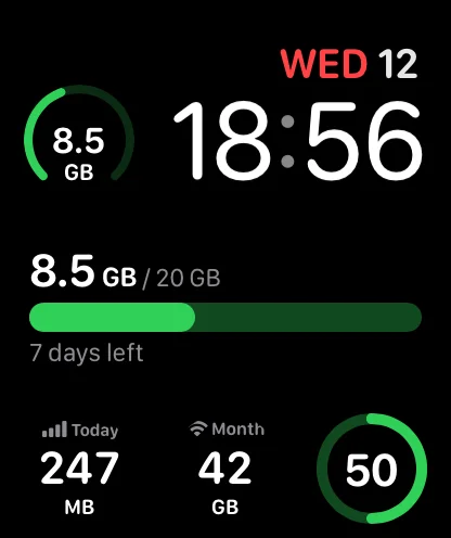 Modular watch face showing remaining data and today's and this month's usage